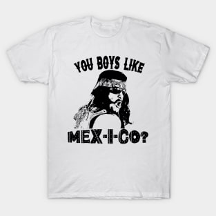 You Boys Like Mex-I-co? T-Shirt